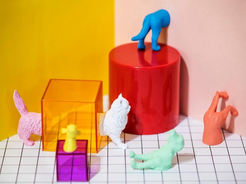 pexels-photo-1083621[1]